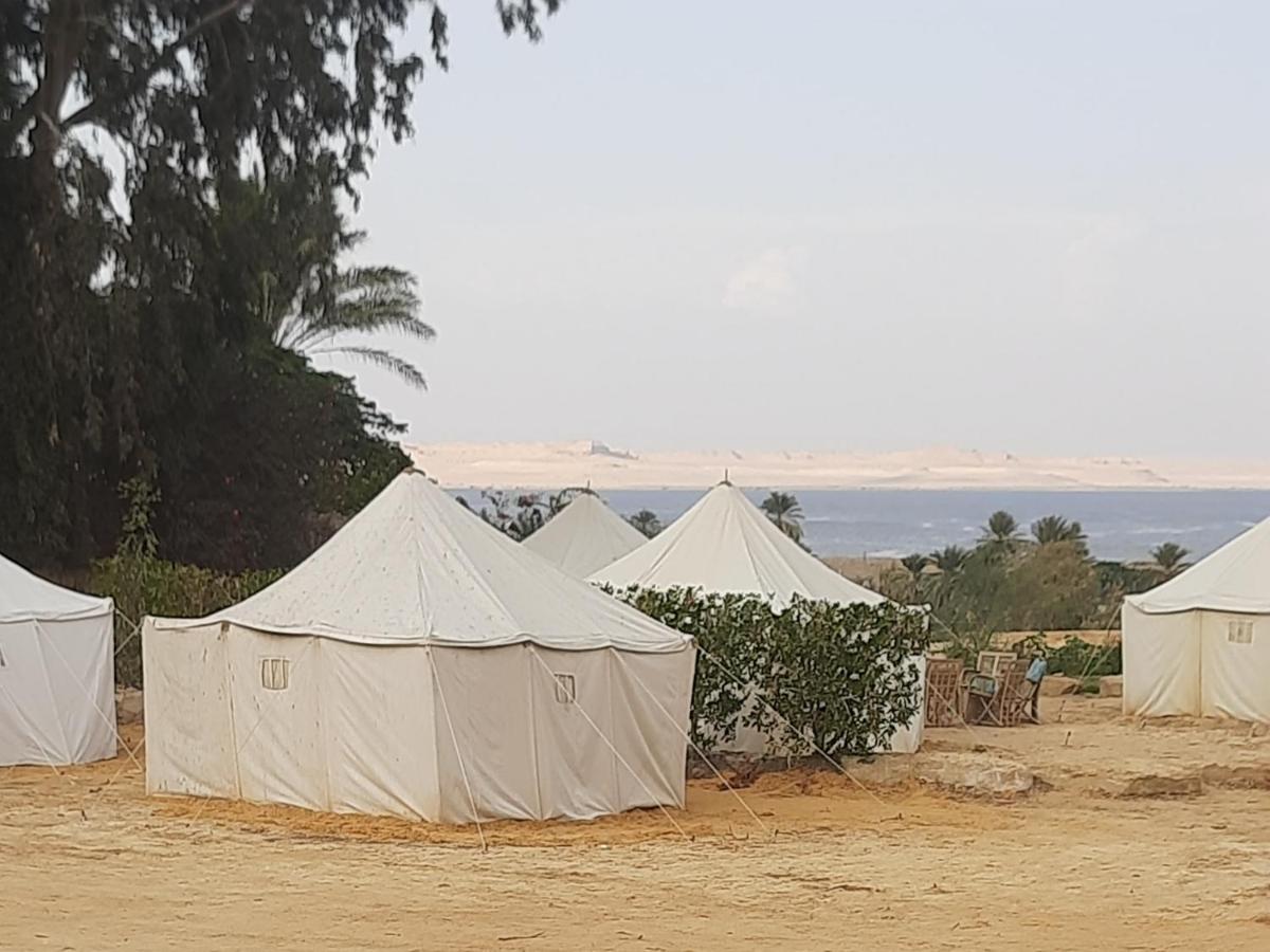 Tunis Camp Al Fayyūm Chambre photo